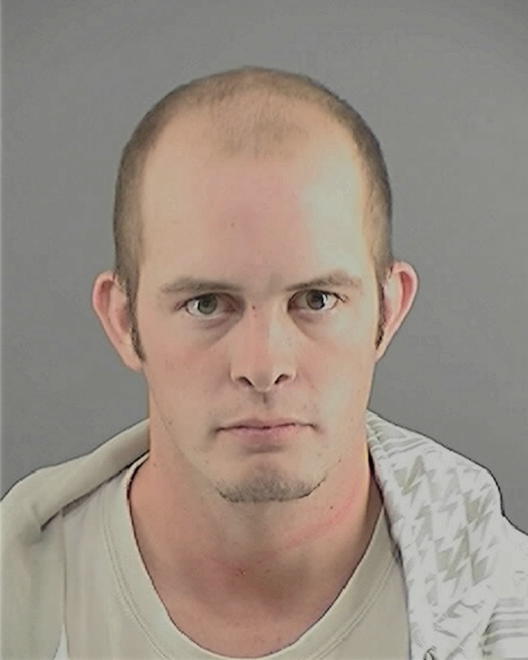 DREYER, MATTHEW L - Peoria County, IL