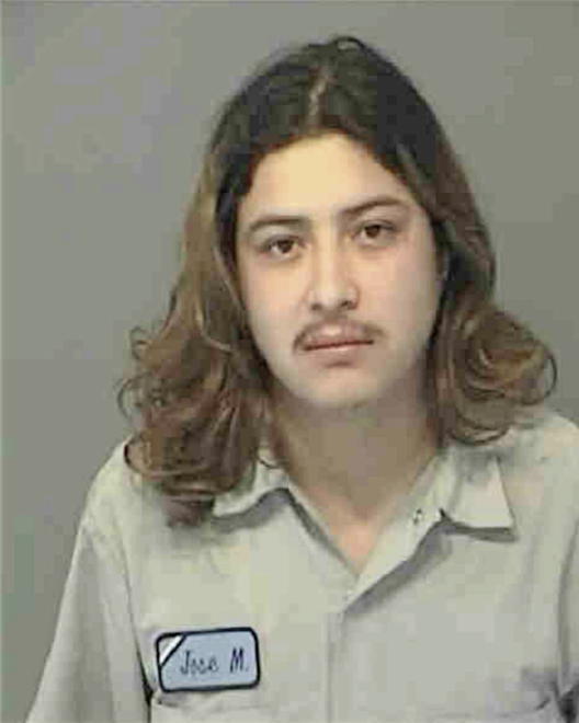 MECINA, JOSE FRANK - Peoria County, IL
