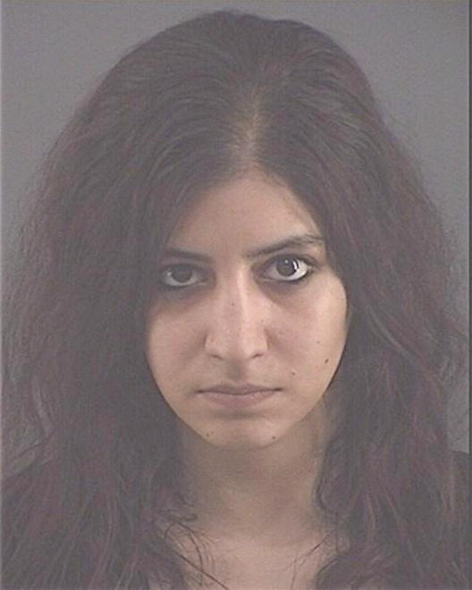 SAMHAN, EMAN Y - Peoria County, IL