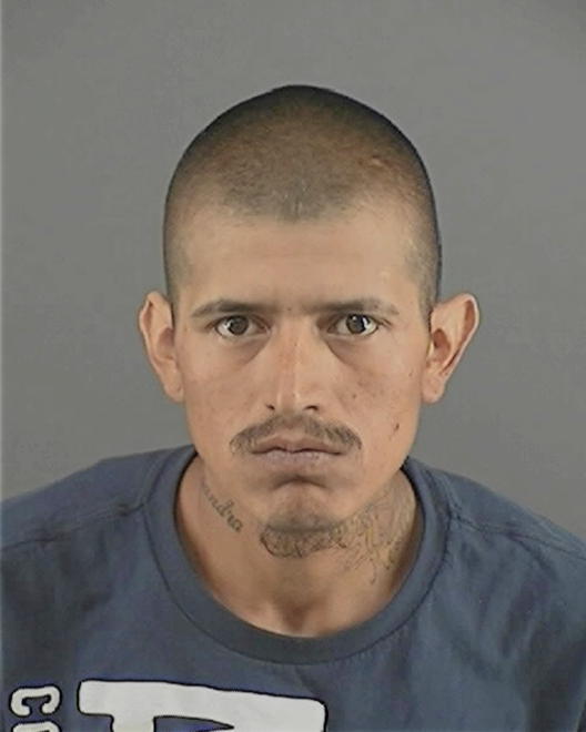 TORRES, CARLOS H - Peoria County, IL