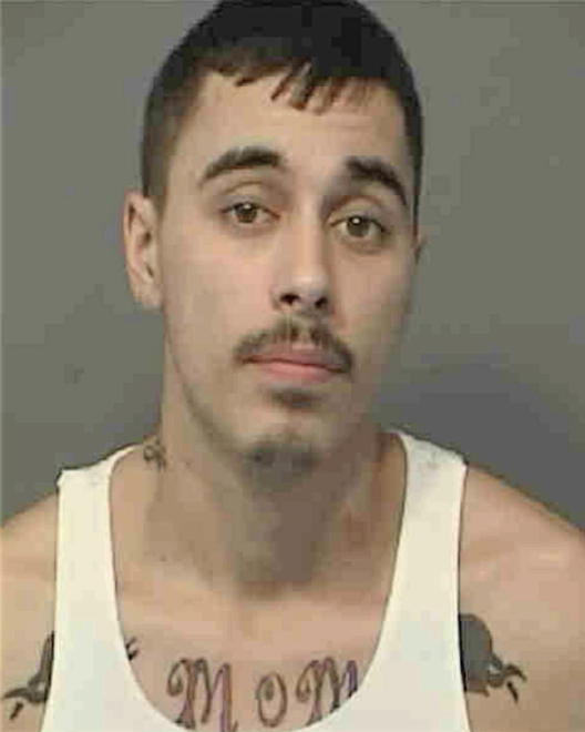 MITCHELL, GREGORY RUSSELL - Peoria County, IL