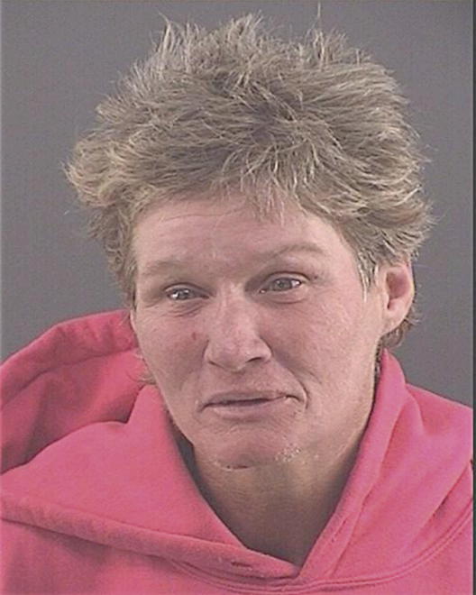 POWELL, TONYA LYNN - Peoria County, IL