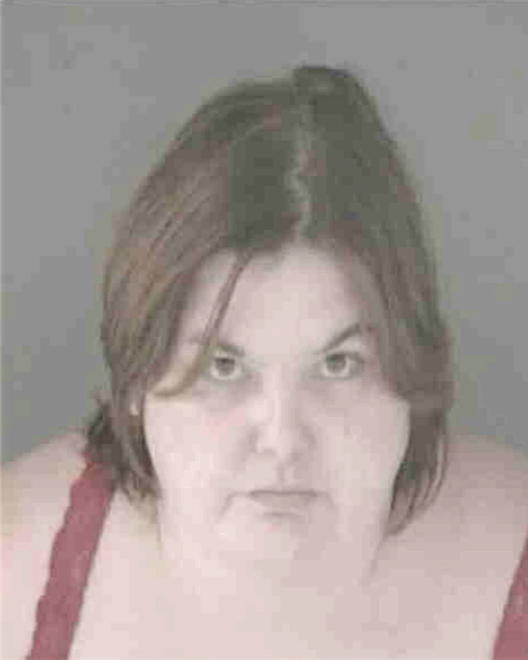 FIELDS, STACEY LEE - Peoria County, IL
