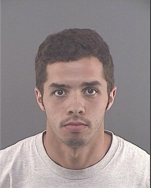 PALMBORG, CARL BEN - Peoria County, IL