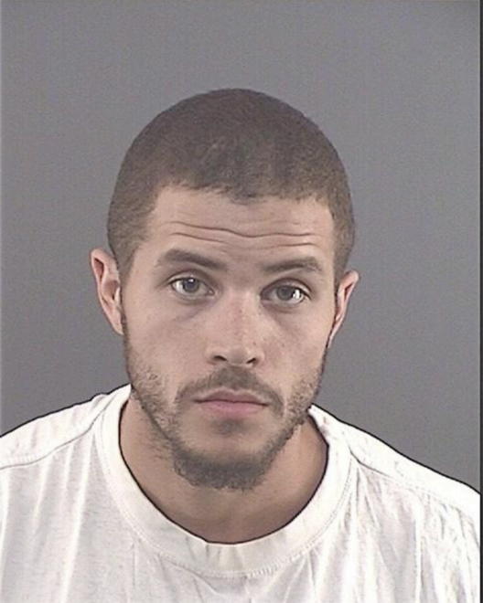 PALMBORG, BENJAMIN CHARLES - Peoria County, IL