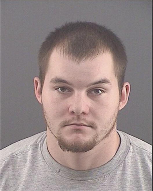 WORKMAN, DAKOTA J - Peoria County, IL