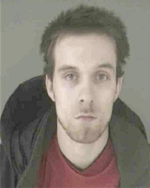 PEDROZA, BRIAN ANTHONY - Peoria County, IL