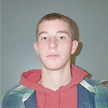 PRESLEY, JOSHUA ALAN - Peoria County, IL