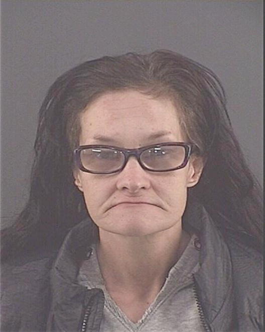 ANDERSON, BROOK LYNETTE - Peoria County, IL