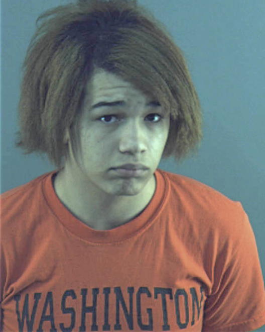 NELSON, KYLE L - Peoria County, IL