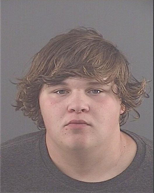 WOLF, TAYLOR A - Peoria County, IL