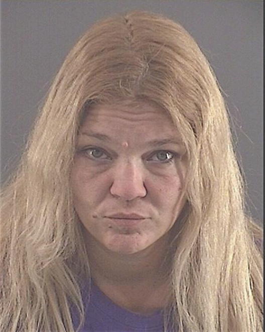 HOYLE, JAMIE A - Peoria County, IL