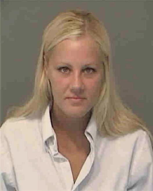 WHITE, CARI LYNN - Peoria County, IL