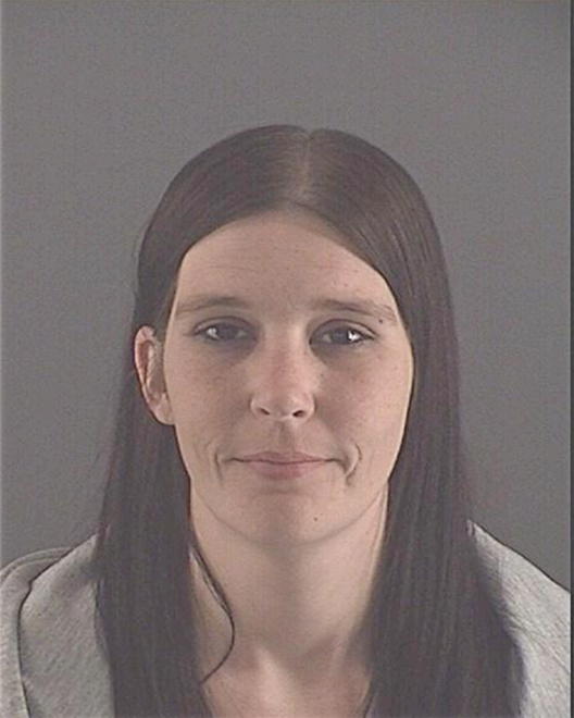 LASHBROOK, NICOLE LYN - Peoria County, IL