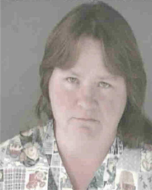 SIMMONS, JILL LUANN - Peoria County, IL