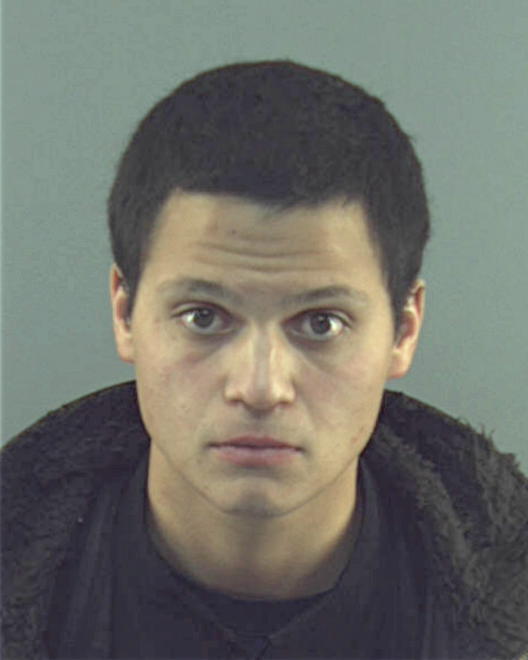 MENESES, LUIS ERIK - Peoria County, IL