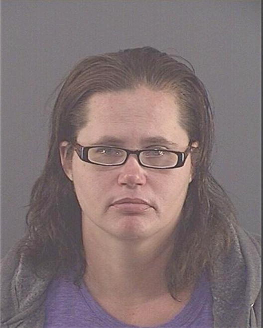 HOGSETT, NICHOLE A - Peoria County, IL
