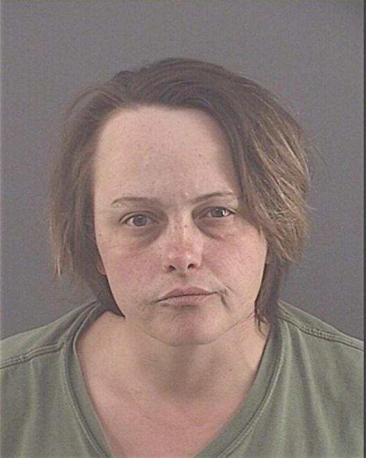 ARCOMONE, CHERI - Peoria County, IL