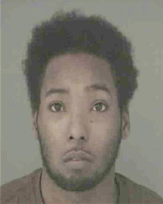 JOHNSON, DAVID DEANDRE - Peoria County, IL