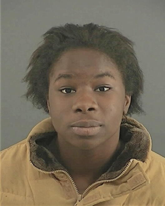 JOHNSON, ARELLE LASHAUN - Peoria County, IL