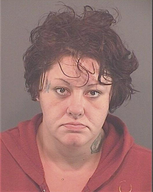 BURNETT, STORMIE L - Peoria County, IL