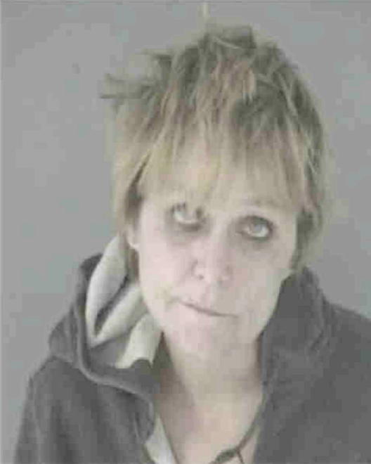 SHETLER, DEBRA LEE - Peoria County, IL