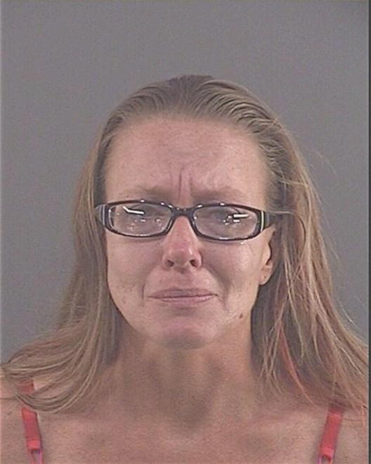 EVANS, CASEY M - Peoria County, IL