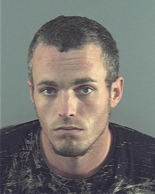 PETERSON, TRAVIS M - Peoria County, IL