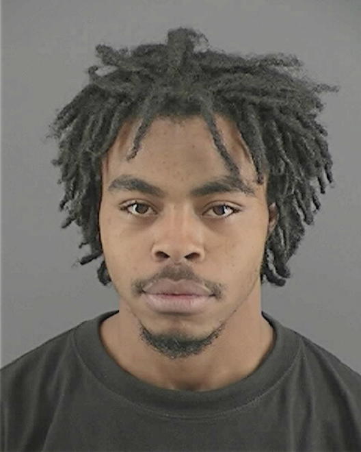 ERVING, TROY T - Peoria County, IL
