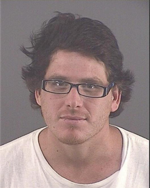 VERVYNCK, ANDREW P - Peoria County, IL