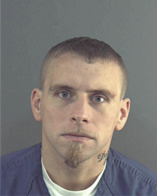 BOLSON, SHANE W - Peoria County, IL