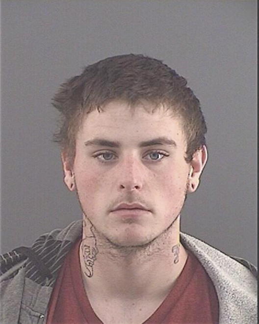 LEE, STEVEN WAYNE - Peoria County, IL
