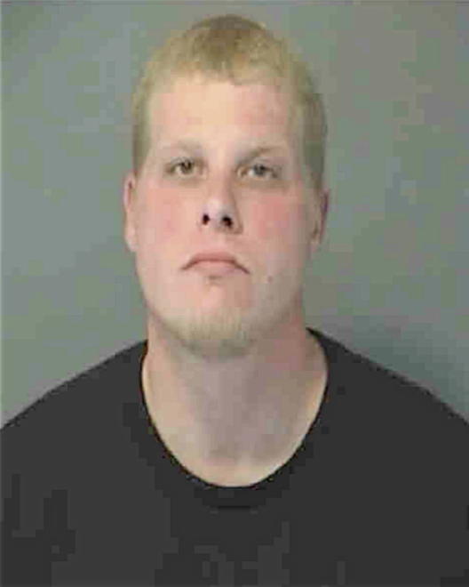 WERNOWSKY, ALAN D - Peoria County, IL