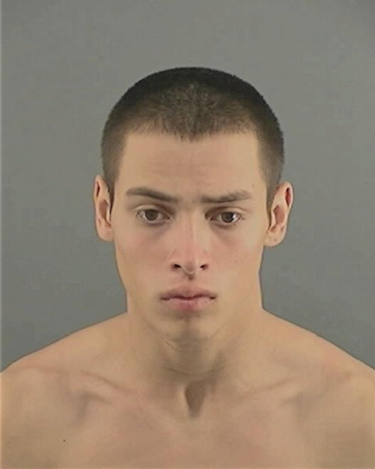 OCHOA, JULLIAN TORREZ - Peoria County, IL