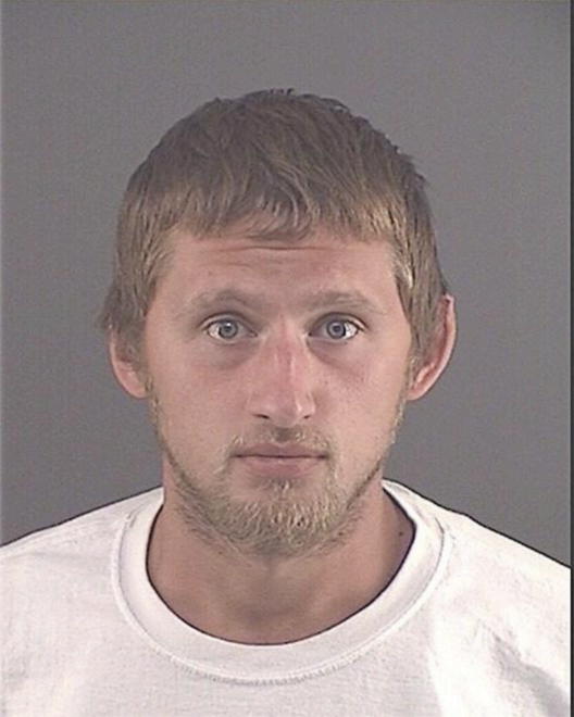 HARRIGAN, TYLER S - Peoria County, IL