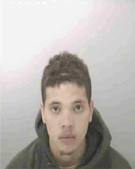 NOVERO, NICHOLAS A - Peoria County, IL