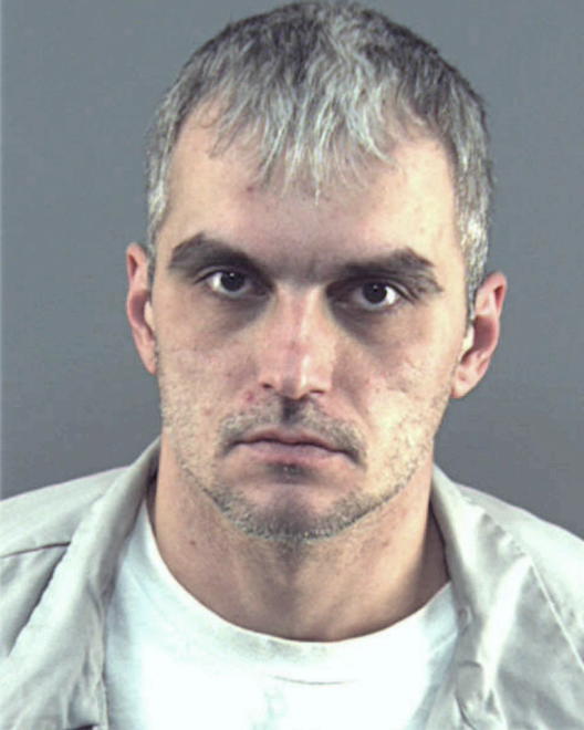 RUBINI, CARL TRACEY - Peoria County, IL