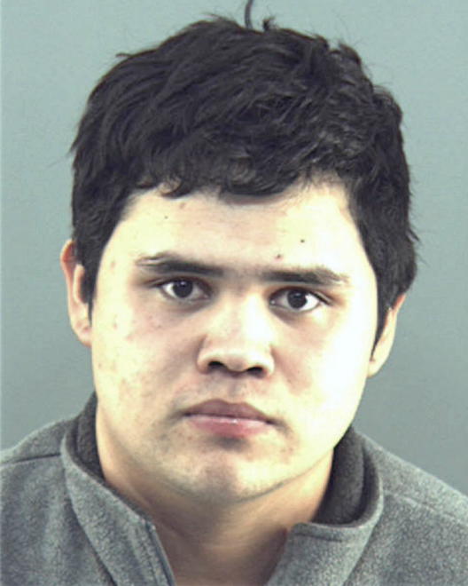 FERNANDEZ-ROMAN, JOSE ANTONIO - Peoria County, IL