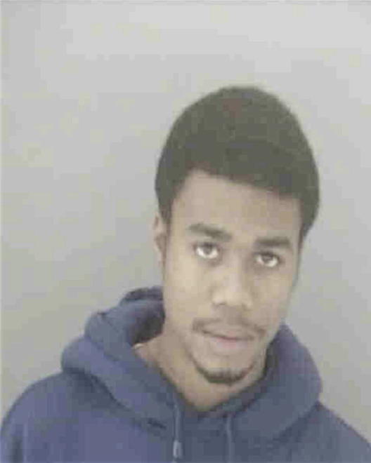 BRAMLETT, TAURUS A - Peoria County, IL