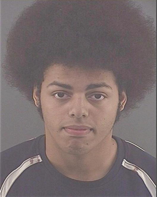 JOHNSON, SAMUEL W - Peoria County, IL