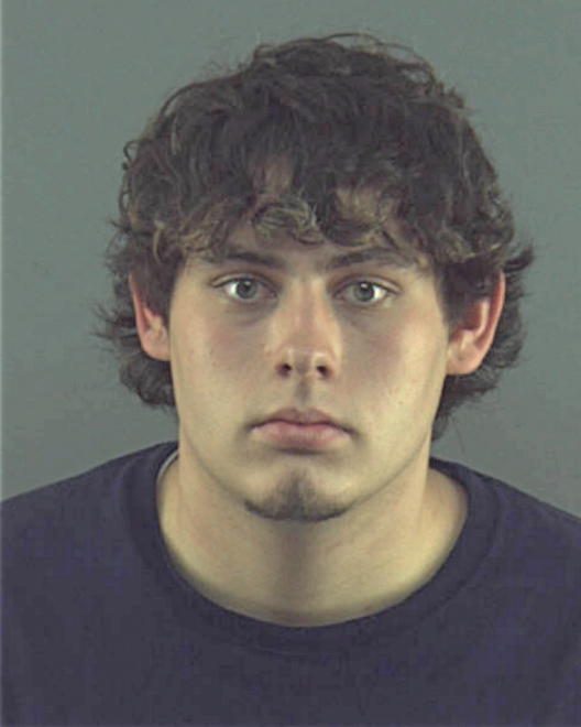 BOHM, LUKE A - Peoria County, IL