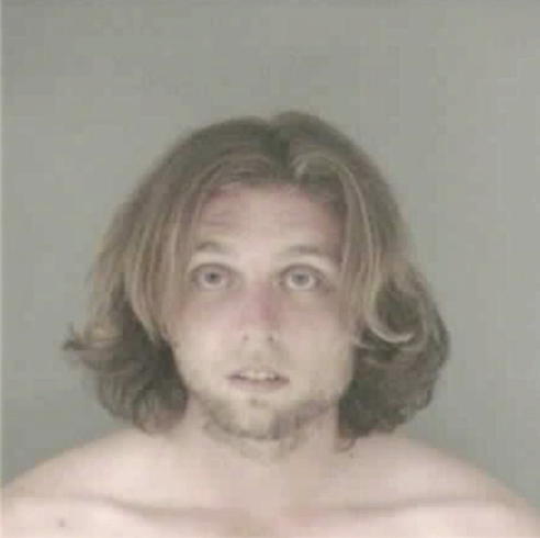 VOILES, BRANDON LEE - Peoria County, IL