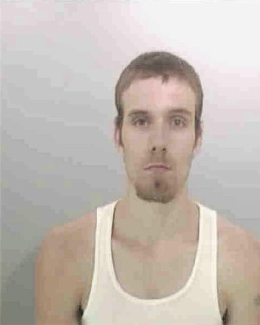 PEDROZA, BRIAN ANTHONY - Peoria County, IL