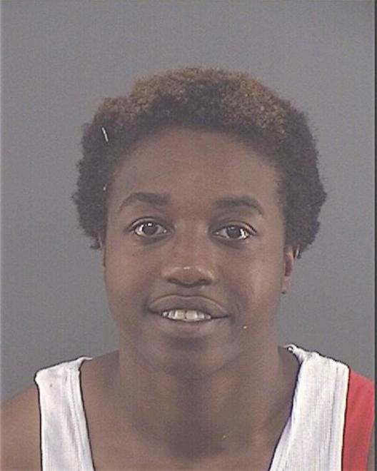 BELL-YOUNG, SIDNEY SHENETTA - Peoria County, IL