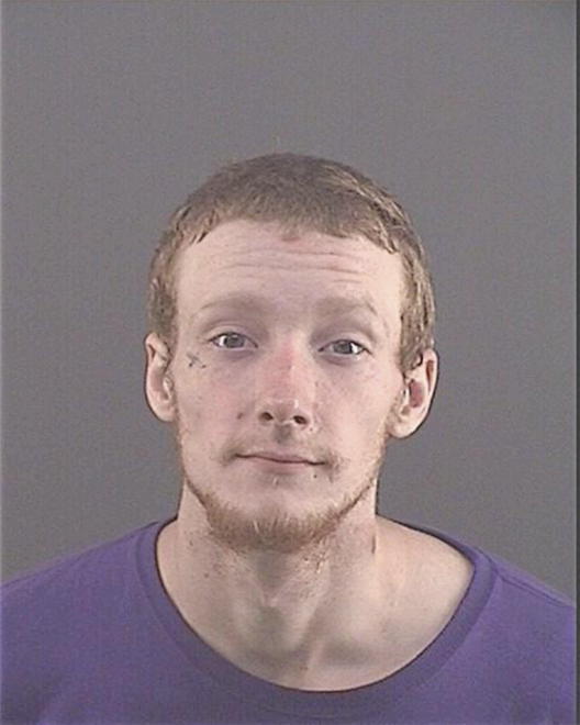 NELSON, BRANDAN L - Peoria County, IL