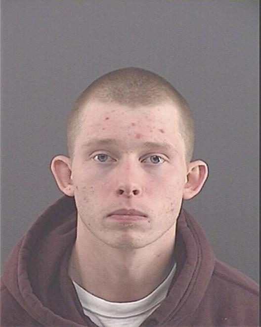 BRIDGES, DAVID MICHAEL - Peoria County, IL