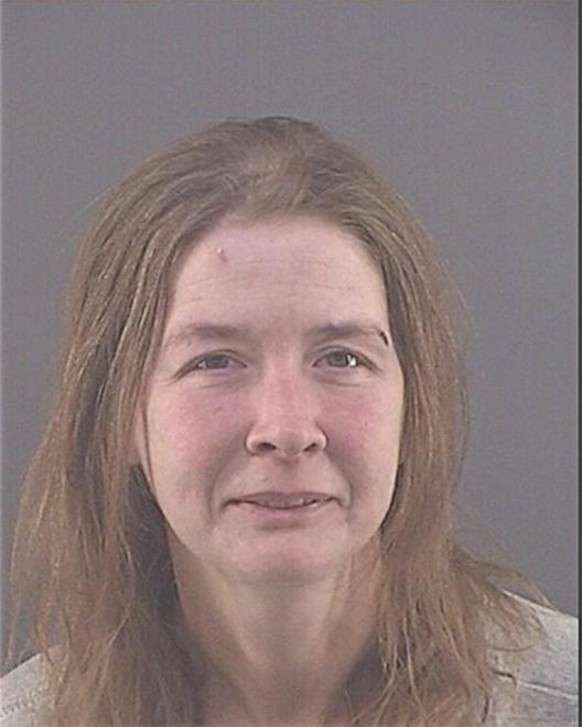 LAVOIE, MISTY D - Peoria County, IL