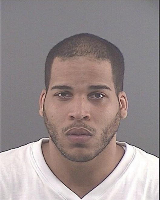 FELIZ, SAMY BRYAN - Peoria County, IL