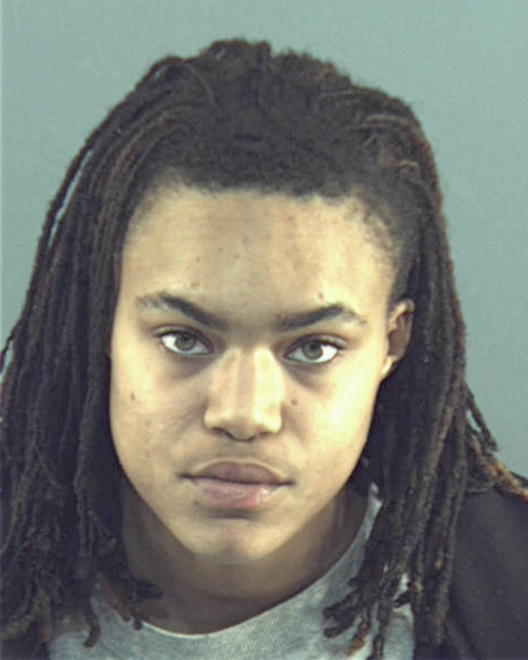 GRIFFIN, ADRIANA R - Peoria County, IL