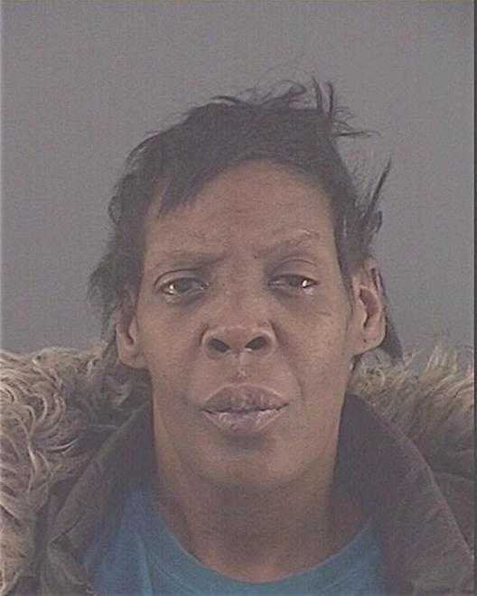 HOLLINS, CAROLYN - Peoria County, IL